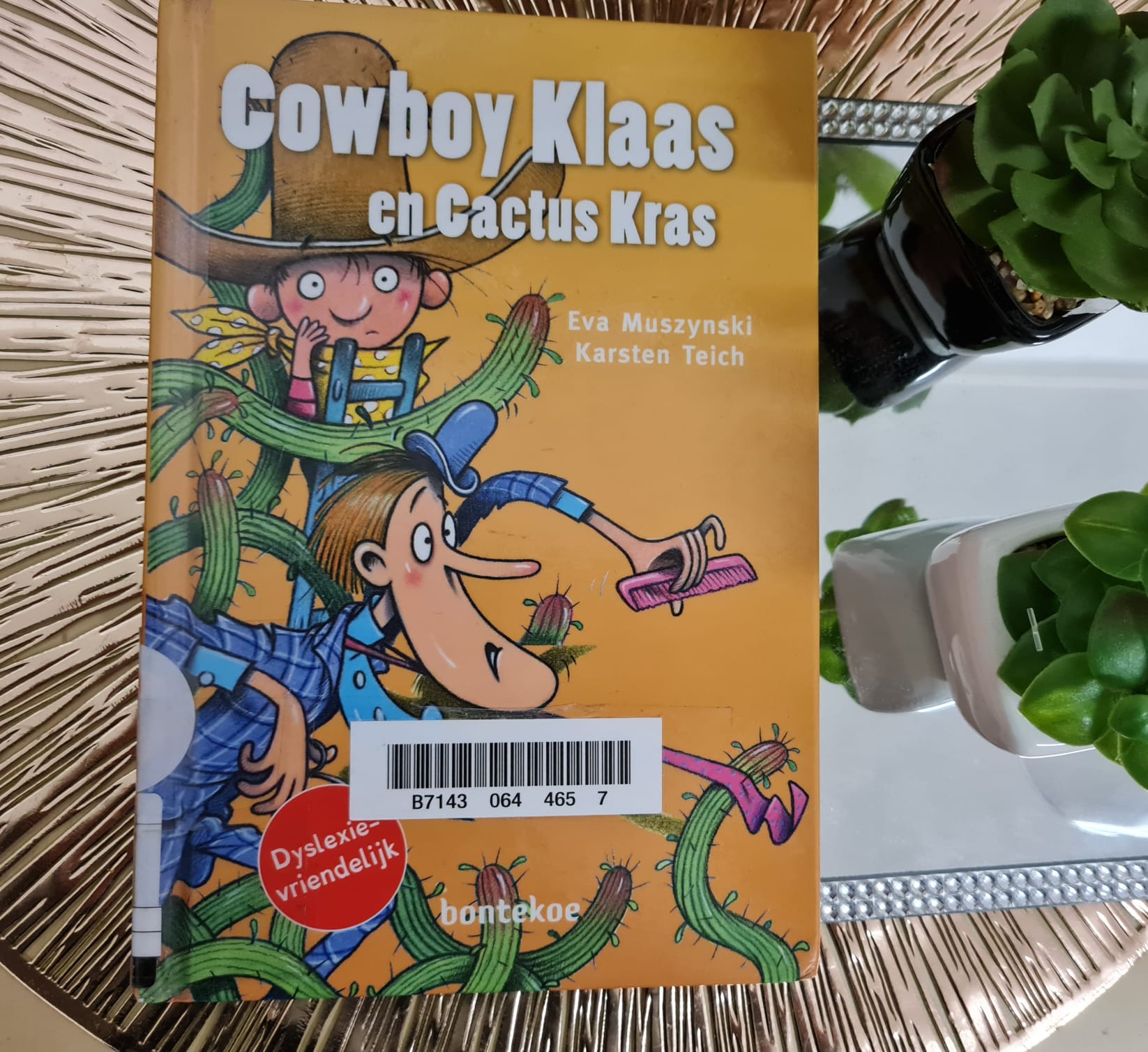 Cowboy Klaas en cactus kras